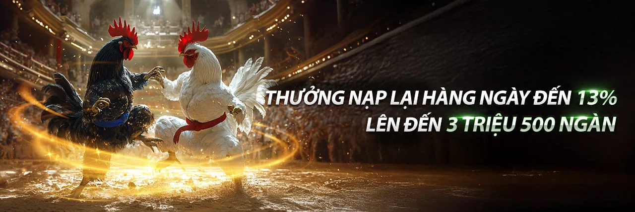Đá Gà Trực Tuyến Hấp Dẫn tại maxvin nhà cái 2026